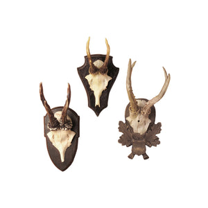 Antler Wall Mount Set