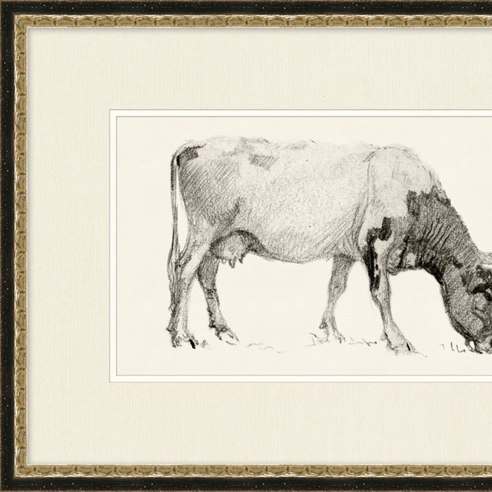 
                
                    Load image into Gallery viewer, Bovine Sketch
                
            