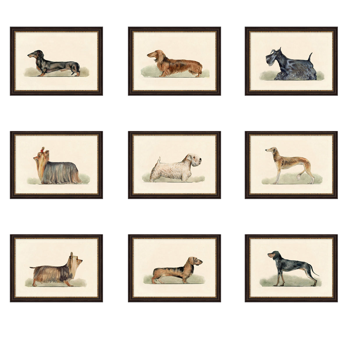Dog Collection Single Vintage Dog Collection – Tuesday Made