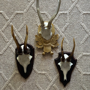 Antler Wall Mount Set