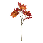 Fall Maple Branch