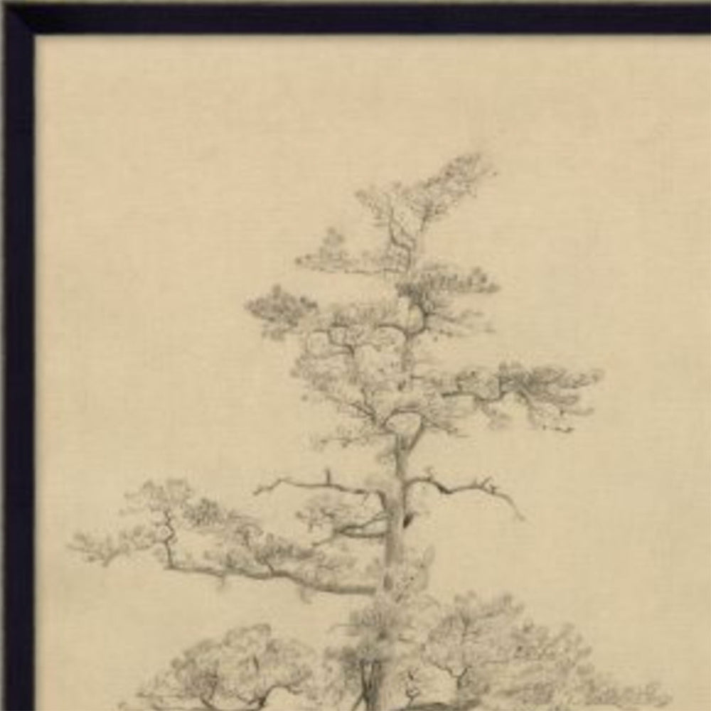 
                
                    Load image into Gallery viewer, Pine Study
                
            