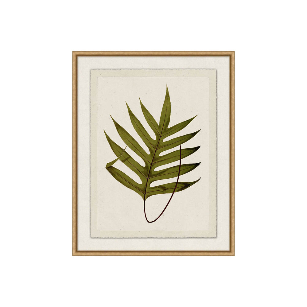 Pressed Plant Gallery