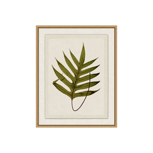 Pressed Plant Gallery