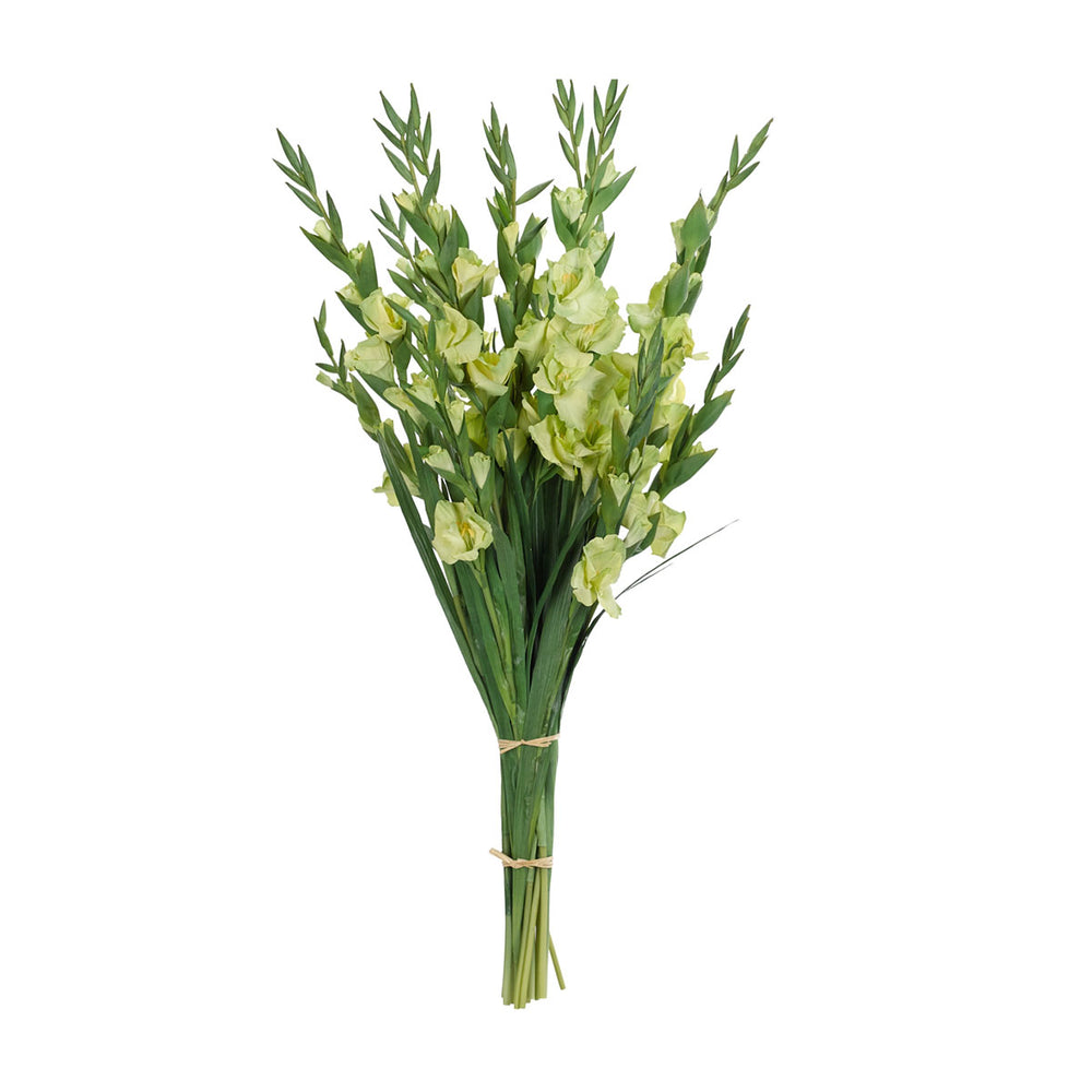 
                
                    Load image into Gallery viewer, Gladiola Bunch
                
            