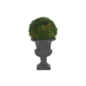 
                
                    Load image into Gallery viewer, Moss Pedestal Topiary
                
            