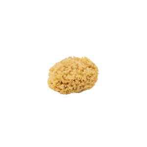 
                
                    Load image into Gallery viewer, Natural Sea Sponge
                
            