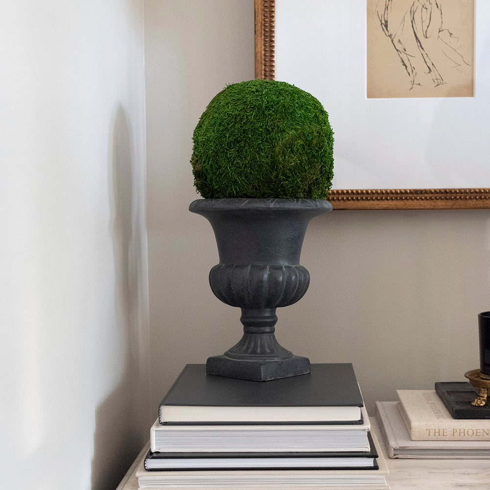 
                
                    Load image into Gallery viewer, Moss Pedestal Topiary
                
            